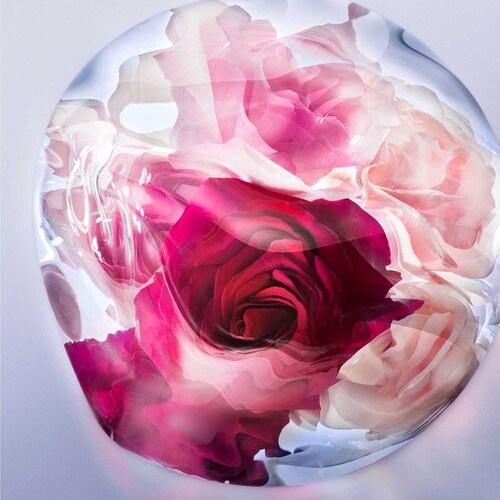 Eau de Parfum Lancome Lveb Rose Extraordinaire 50 Ml para Mujer