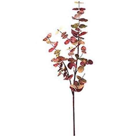 Vara Decorativa Eucalipto Pier 1 Imports