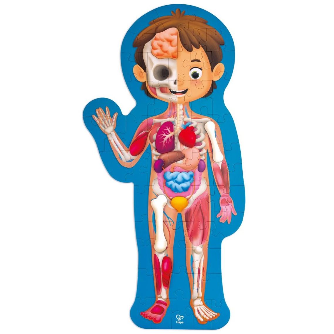 Rompecabezas Del Cuerpo Humano con Estuche