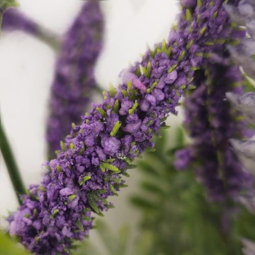 Ramo Lavanda 42 Cm Lavanda Lottus