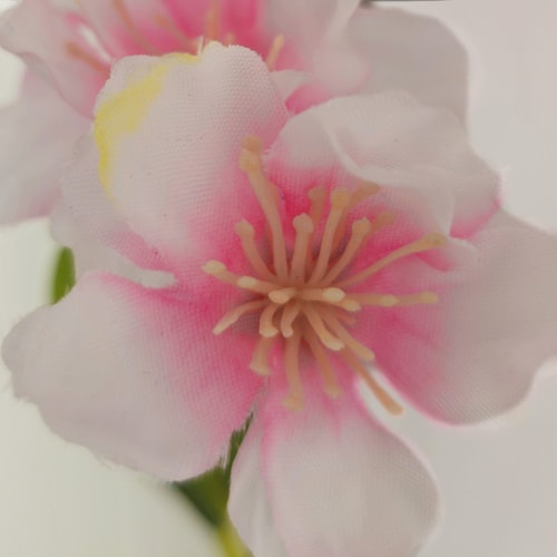 Vara Cerezo 100 Cm Rosa Lottus