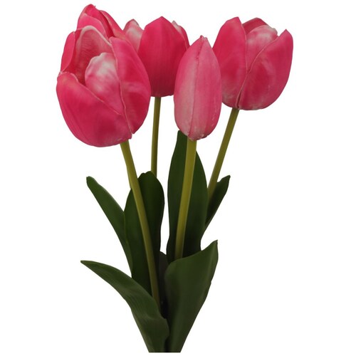 Ramo  Tulipanes 49 Cm Rosa Lottus