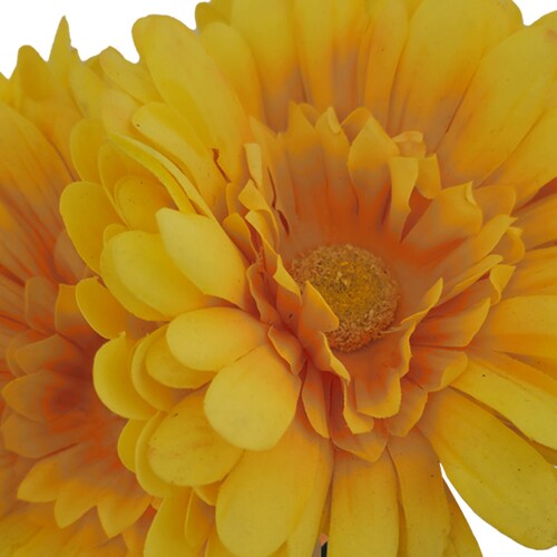 Ramo Gerberas 30 Cm Amarillo Lottus