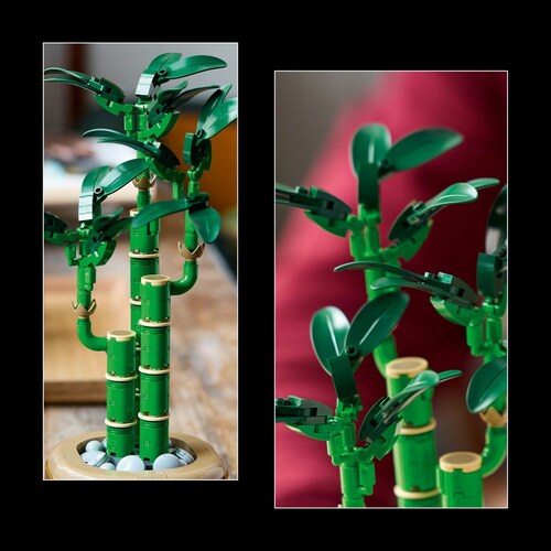Botanicals Bambu de la Suerte Lego
