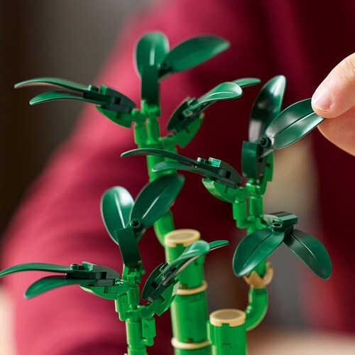 Botanicals Bambu de la Suerte Lego