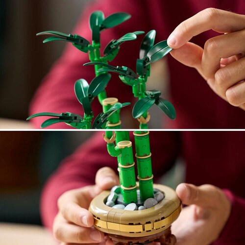Botanicals Bambu de la Suerte Lego