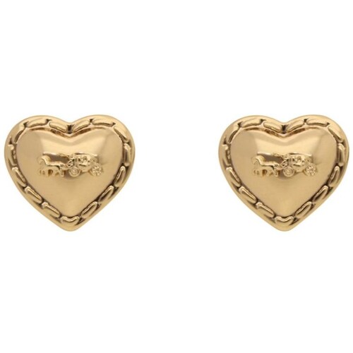 Aretes Corazón Pulido Coach