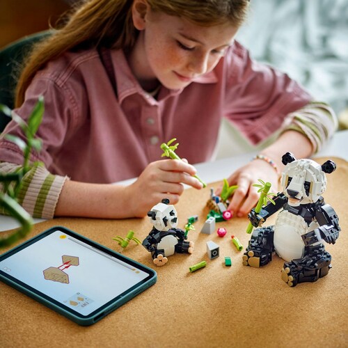 Creator Fauna Salvaje Familia de Pandas