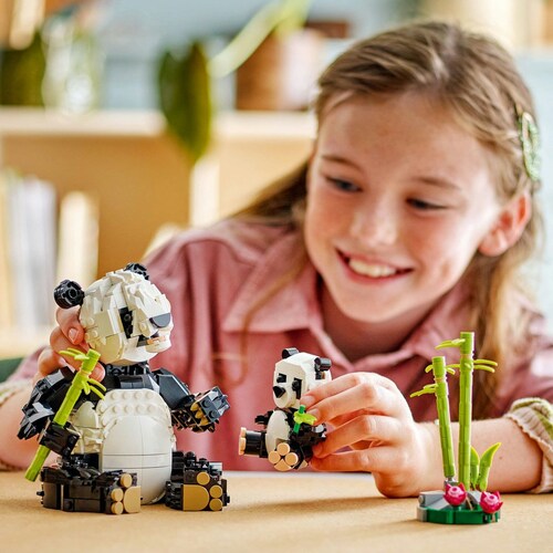 Creator Fauna Salvaje Familia de Pandas