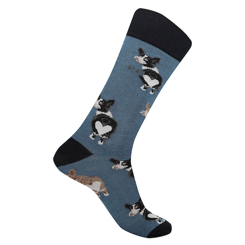 Calcetines Perros para Hombre Perry Ellis