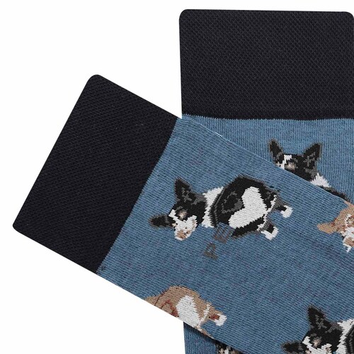 Calcetines Perros para Hombre Perry Ellis