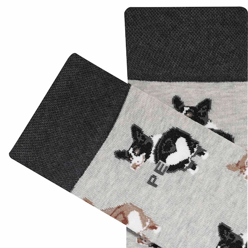 Calcetines Perros para Hombre Perry Ellis