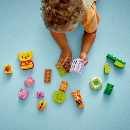 Duplo Fiesta de Cumpleaños de Winnie The Pooh