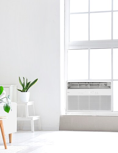 Aire Acondicionado Tipo Ventana 8000 Btu W081C2 LG
