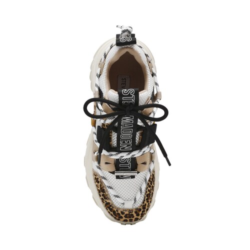 Tenis Tazmania-L Leopard Multi Steve Madden para Mujer