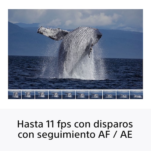 Cámara Sony Ilce-6100K