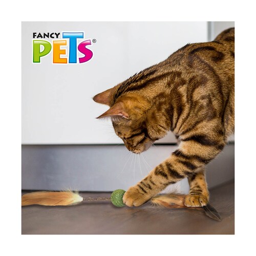 Juguete de Matatabi Y Catnip con Plumas Fancy Pets