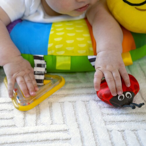 Cojín de Oruga Multisensoriales Baby Einstein