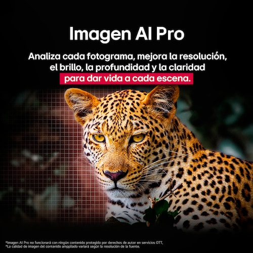 Pantalla LG 48 Pulgadas Oled Evo Ai C5 4K Smart Tv