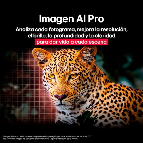 Pantalla LG 77 Pulgadas Oled Evo Ai G5 4K Smart Tv
