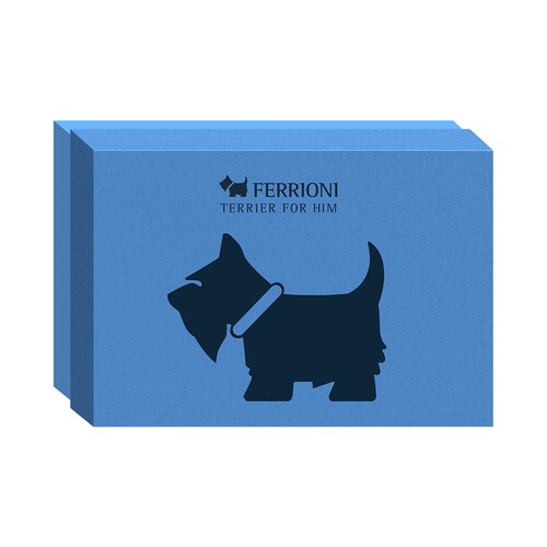 Set Eau de Parfum Ferrioni Terrier For Him (Edp 90Ml + Perfumero 10Ml + Deo Stick 78G)