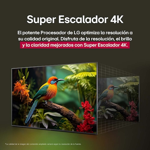Pantalla 65 Pulgadas LG Nanocell Ai Nano80 4K Smart Tv