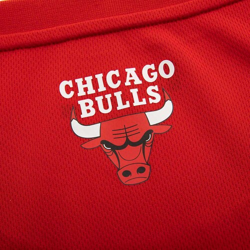 Tank Top Nba Chicago Bulls para Hombre