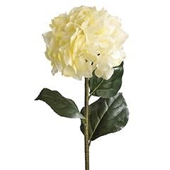 Vara Decorativa Hortencia Cream Pier 1 Imports