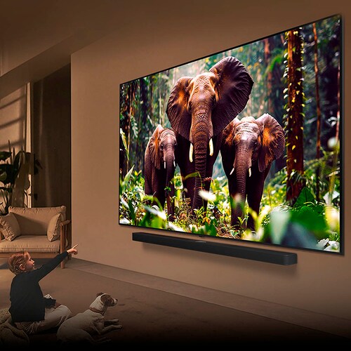 Pantalla 55 Pulgadas LG Qned Ai Qned85 4K Smart Tv