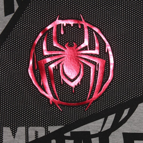 Conjunto para Niño Spiderman