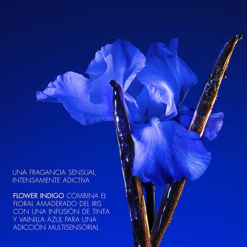 Eau de Parfum Flower Ikebana Kenzo Indigo 75 Ml para Mujer