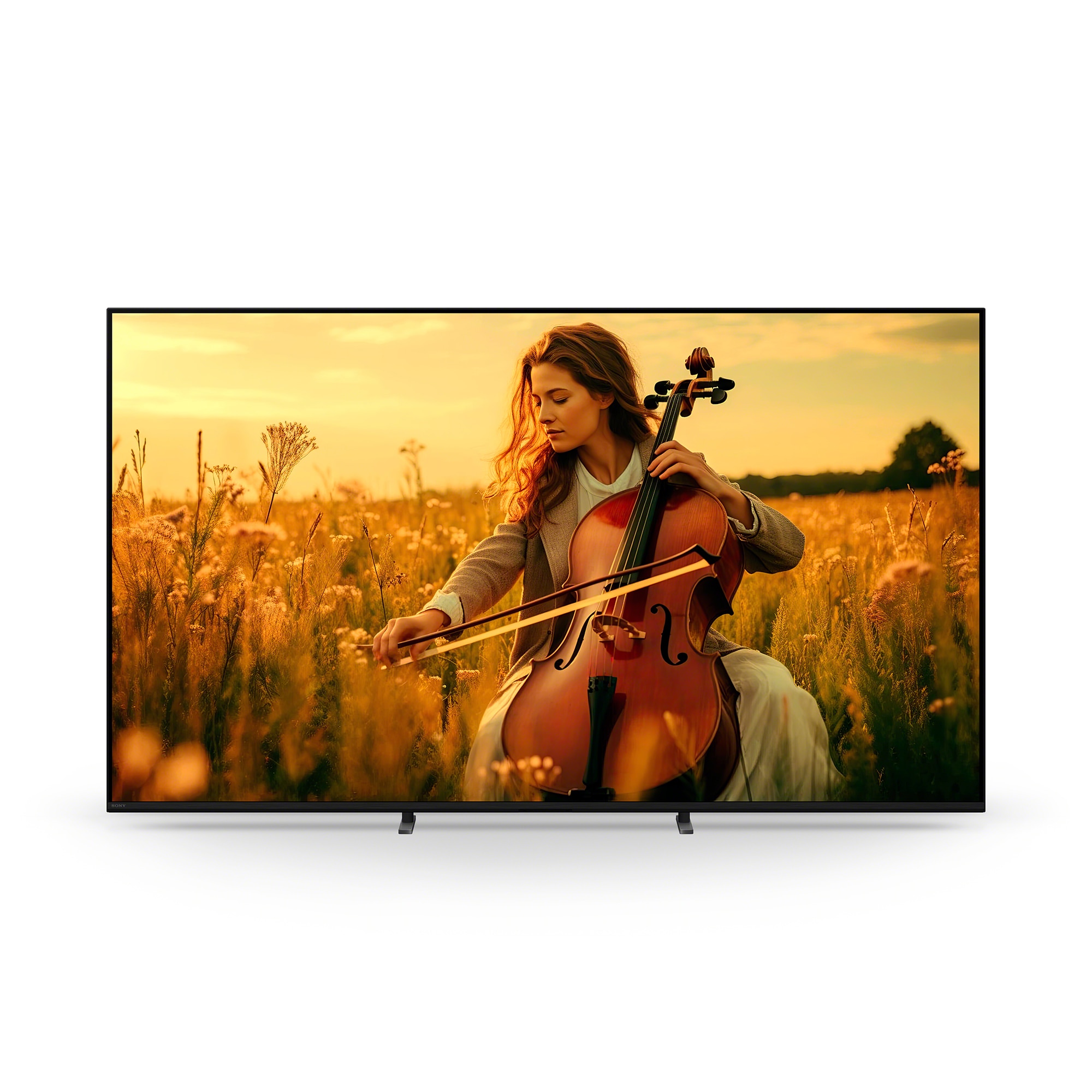 Pantalla Sony de 75 Pulgadas