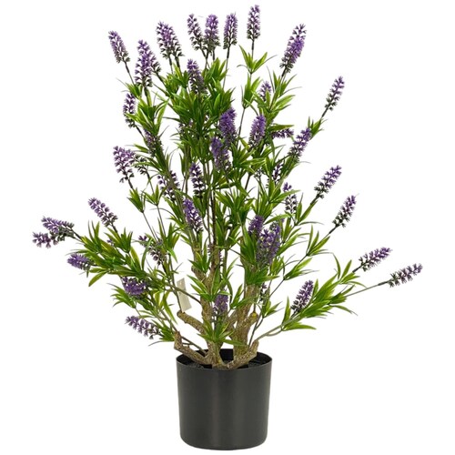 Árbol Lavanda con Maceta - Home Nature
