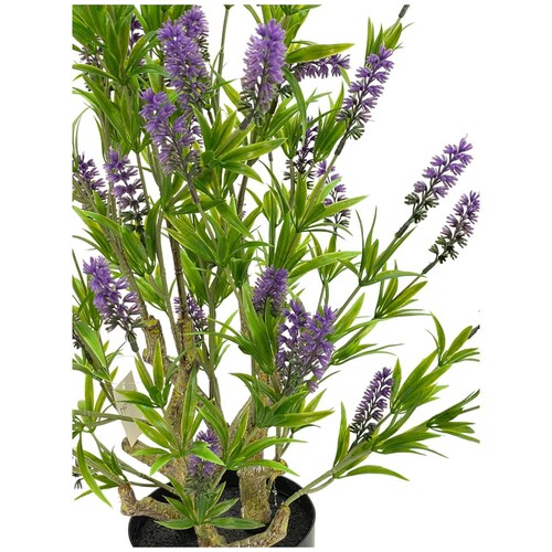Árbol Lavanda con Maceta - Home Nature