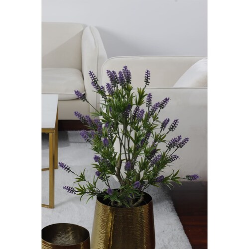 Árbol Lavanda con Maceta - Home Nature