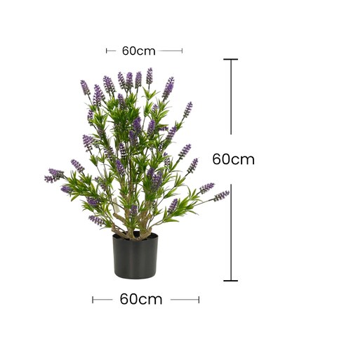 Árbol Lavanda con Maceta - Home Nature