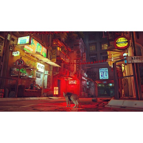 Stray - Nintendo Switch