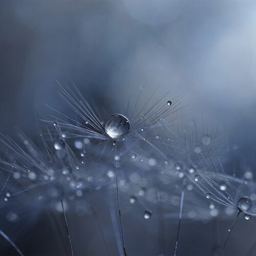 Lente Sony Fe 90 Mm F2.8 Macro G Oss Sel90M28G