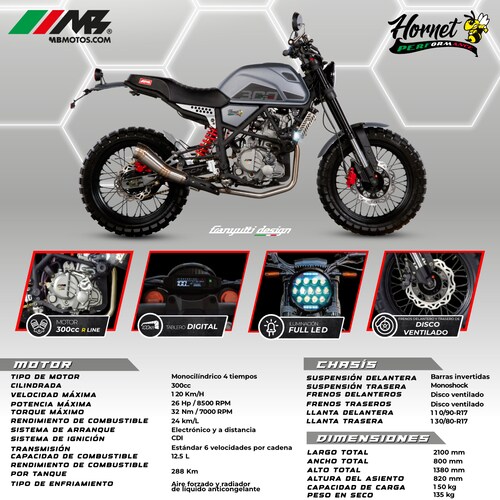 Motocicleta Hornet Performance 300Cc Gris 2025
