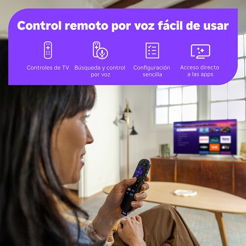 Roku Streaming Stick         