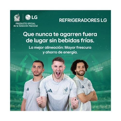 Refrigerador LG Congelador Inferior Smart Inverter con Wifi Thinq 17 Pies³ Negro Mate Gb45Spt