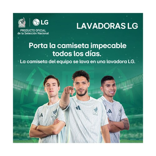 Secadora Lg Carga Frontal a Gas 25 Kg Blanca