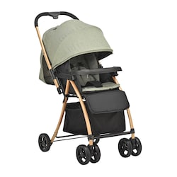 carriola-golf-lx-verde-prinsel
