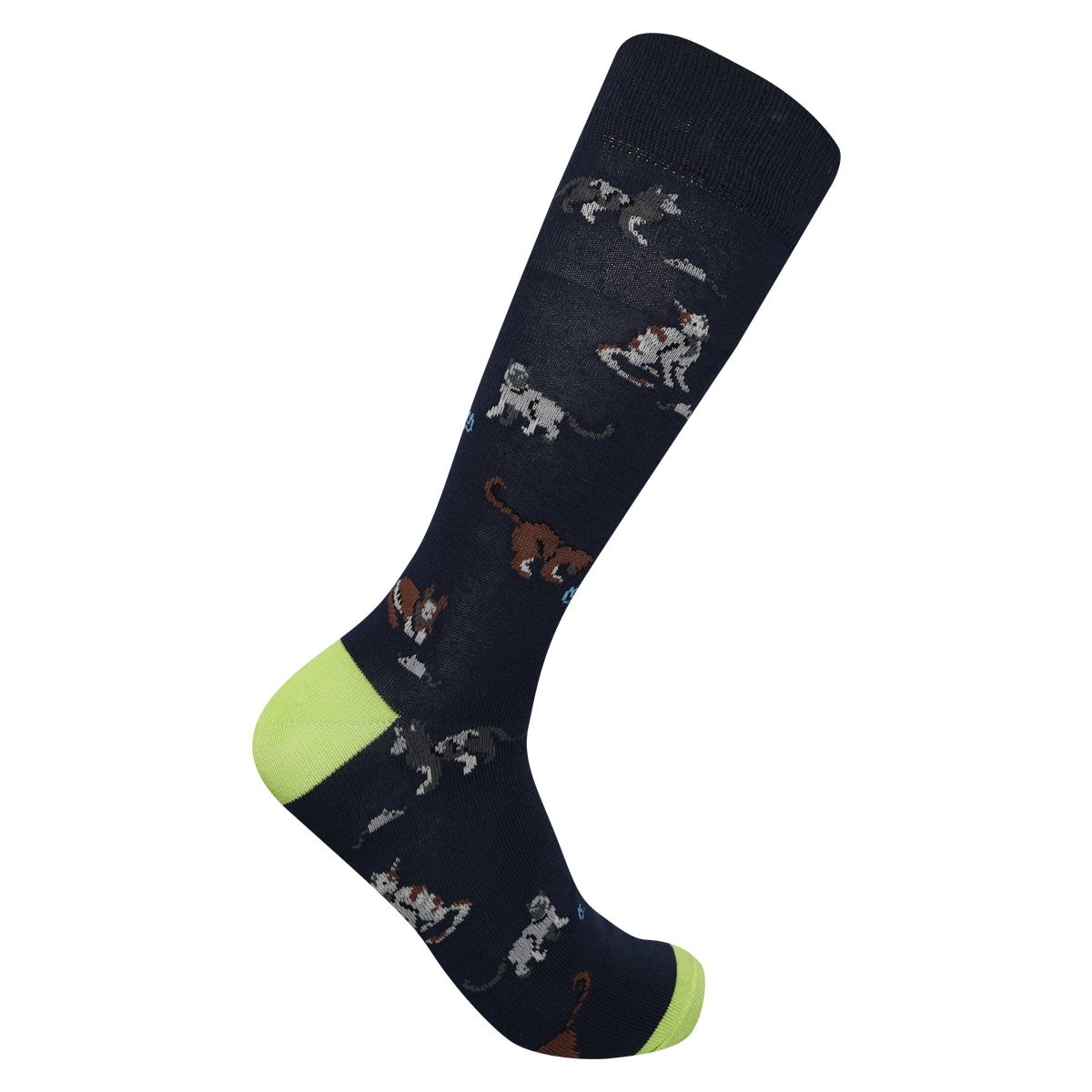 Calcetín Diseño Gatos Florsheim en Poliespun para Hombre
