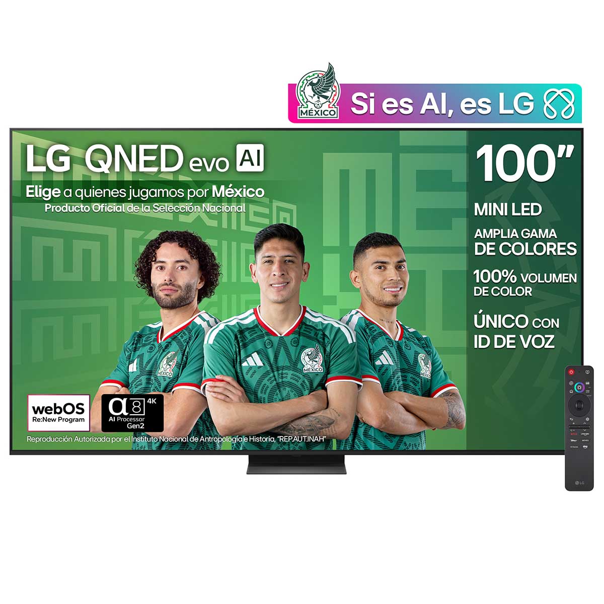 Pantalla de 100 Pulgadas