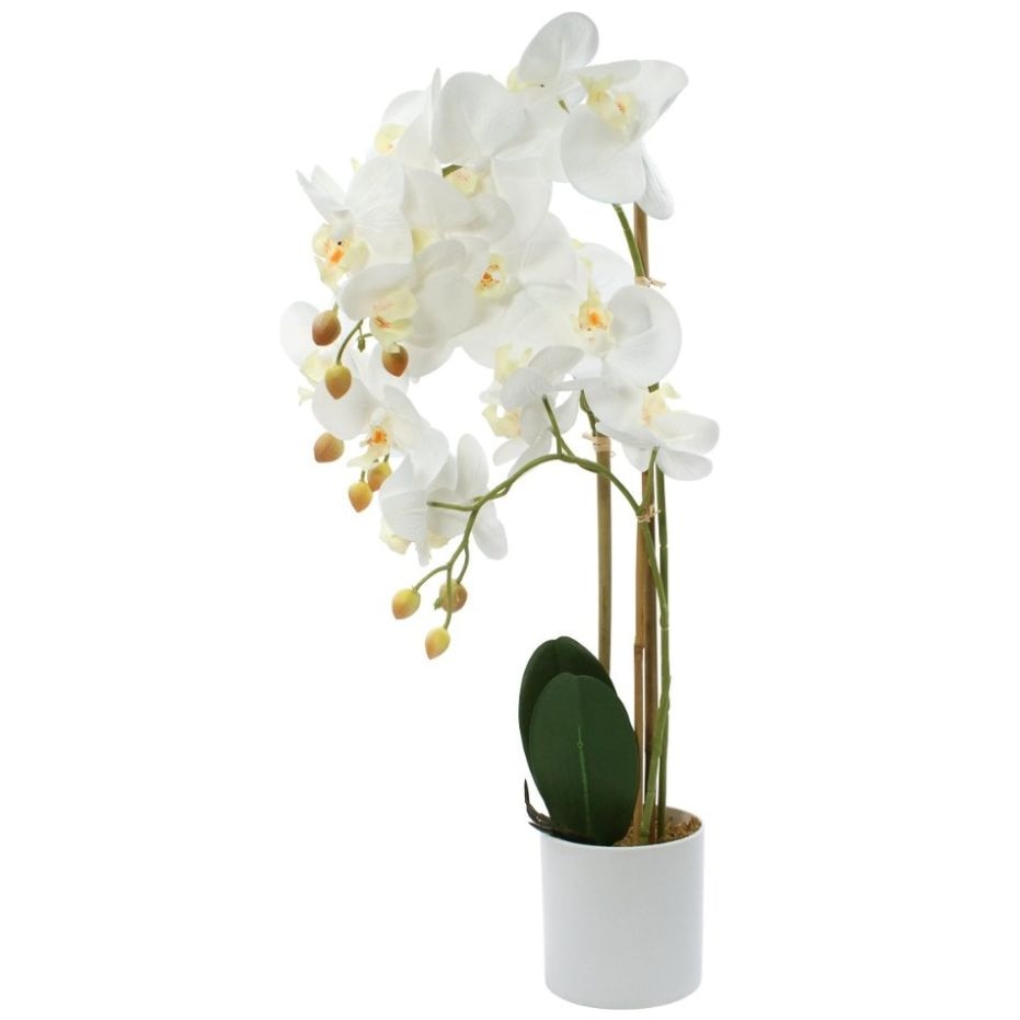Orquidea-A60 Corner Home