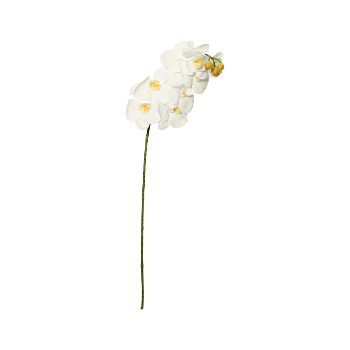 Ramillete de Orquídeas Corner Home