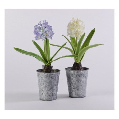 Set Macetas De Peltre Con Bulbos Morados/Blanco - Morado, Blanco - Kessa