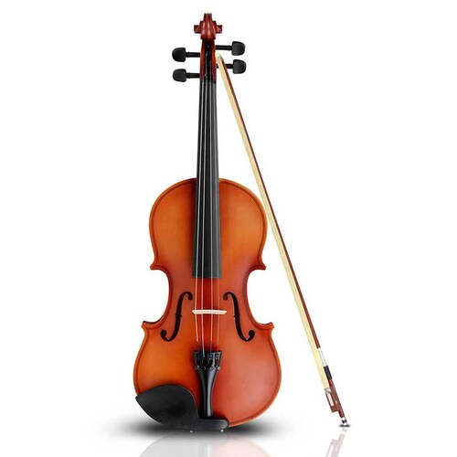 Violin 4/4 Acustico Profesional Madera Estuche Y Accesorios - Madera