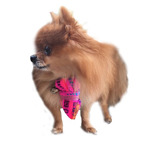 Kit de accesorios: paliacate + corbata para mascotas  pequeñas marca El Rebozo de Dolce